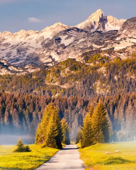 Samoens summer panorama