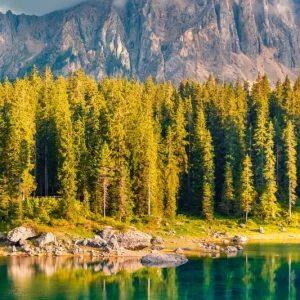 La Plagne Resort Guide