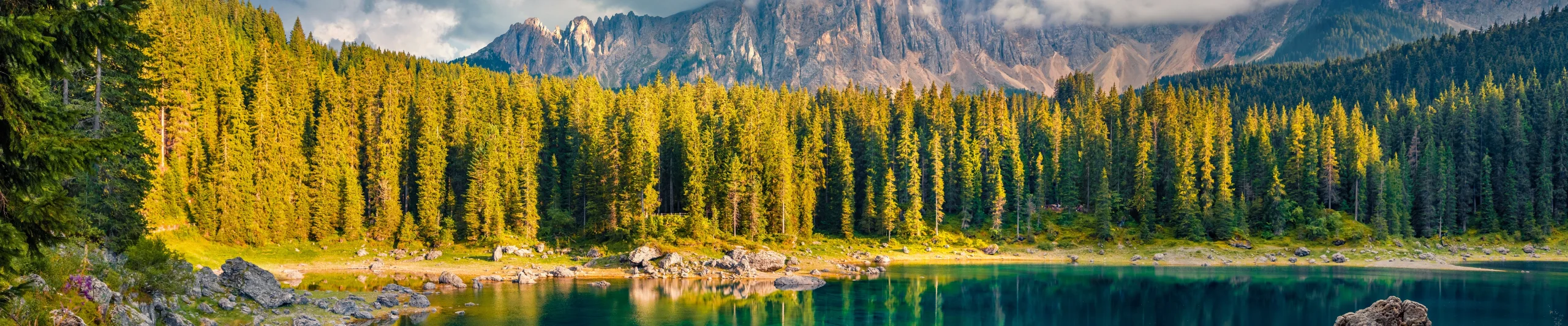 Image for La Plagne Resort Guide