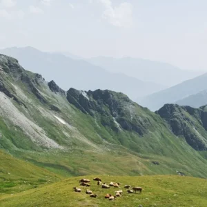 St Martin de Belleville Resort Guide