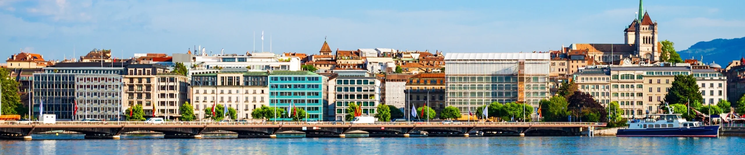 Image for Geneva Airport Guide