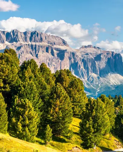 Ortesei summer panorama