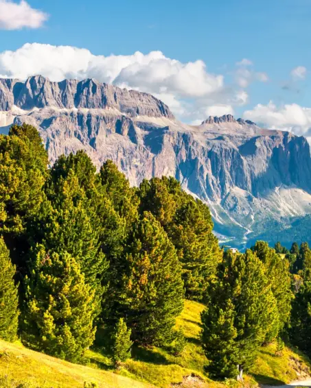 Ortesei summer panorama