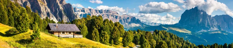 Ortisei Resort Guide