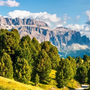 Ortisei Resort Guide