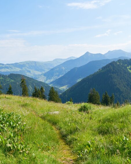 French alps mountain scene