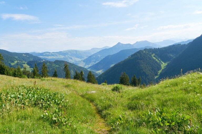 French alps mountain scene