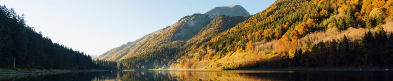 Morzine Resort Guide