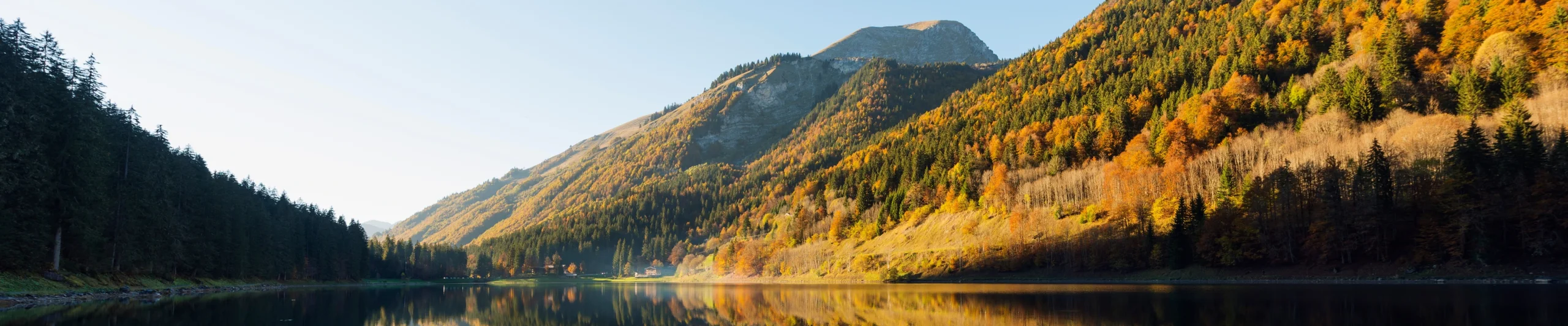 Image for Morzine Resort Guide