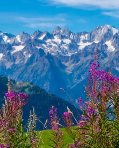Verbier Resort Guide