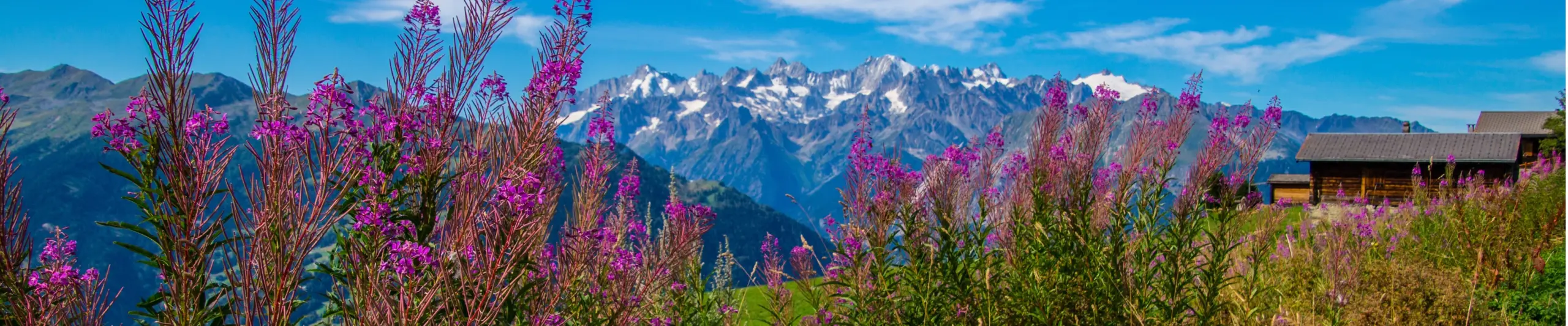 Image for Verbier Resort Guide