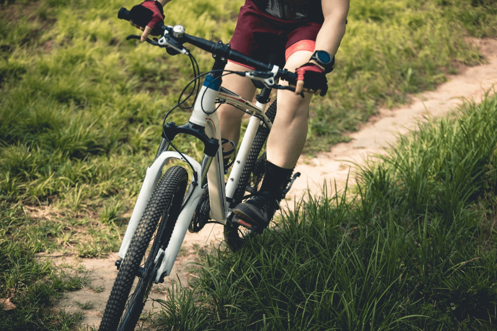 Samoens mountain bike holiday transfers